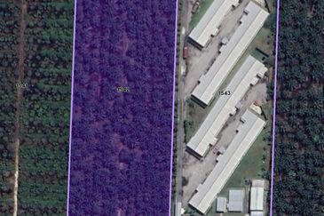 [BELOW MARKET]Tanah sawit 7.81 ekar di Kg. Raja Musa, Kuala Selangor sebelah Ladang Ternakan Ayam