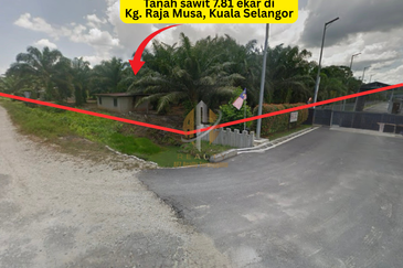 [BELOW MARKET]Tanah sawit 7.81 ekar di Kg. Raja Musa, Kuala Selangor sebelah Ladang Ternakan Ayam