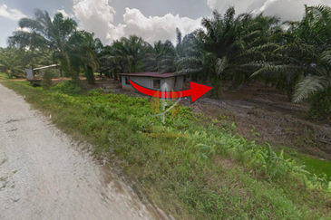 [BELOW MARKET]Tanah sawit 7.81 ekar di Kg. Raja Musa, Kuala Selangor sebelah Ladang Ternakan Ayam
