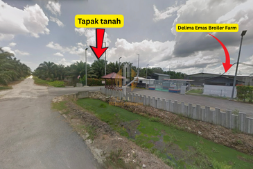 [BELOW MARKET]Tanah sawit 7.81 ekar di Kg. Raja Musa, Kuala Selangor sebelah Ladang Ternakan Ayam