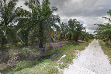 [BELOW MARKET]Tanah sawit 7.81 ekar di Kg. Raja Musa, Kuala Selangor sebelah Ladang Ternakan Ayam