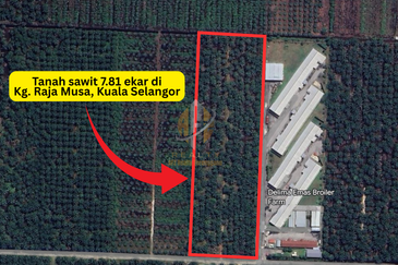 [BELOW MARKET]Tanah sawit 7.81 ekar di Kg. Raja Musa, Kuala Selangor sebelah Ladang Ternakan Ayam