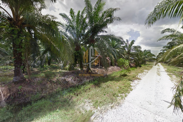 [BELOW MARKET]Tanah sawit 7.81 ekar di Kg. Raja Musa, Kuala Selangor sebelah Ladang Ternakan Ayam