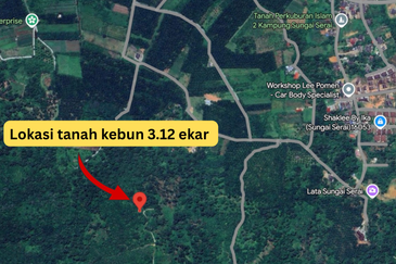 Tanah Kebun 3.12 ekar  di Kg. Sungai Serai, Bukit Payong, Marang, Terengganu