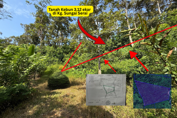 Tanah Kebun 3.12 ekar  di Kg. Sungai Serai, Bukit Payong, Marang, Terengganu