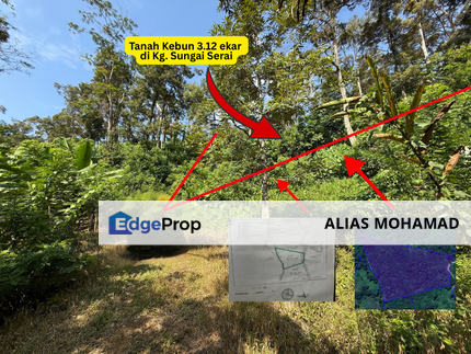 Tanah Kebun 3.12 ekar  di Kg. Sungai Serai, Bukit Payong, Marang, Terengganu, Terengganu, Marang