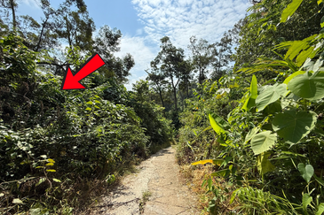 Tanah Kebun 3.12 ekar  di Kg. Sungai Serai, Bukit Payong, Marang, Terengganu