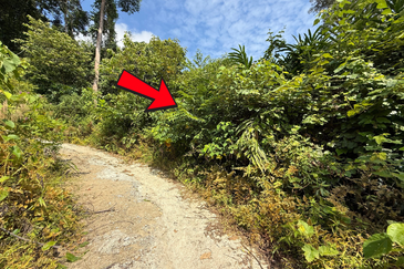 Tanah Kebun 3.12 ekar  di Kg. Sungai Serai, Bukit Payong, Marang, Terengganu