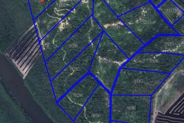 Tanah sawit 31 ekar di Marang, Terengganu