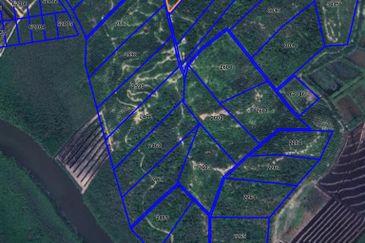 Tanah sawit 31 ekar di Marang, Terengganu