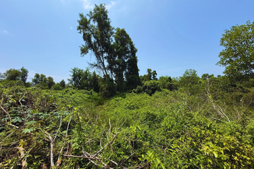 [Tanah Gred A]Tanah Lot Banglo Saiz 411m² di Kawasan Perindustrian Gong Badak, Kuala Nerus, Terengganu