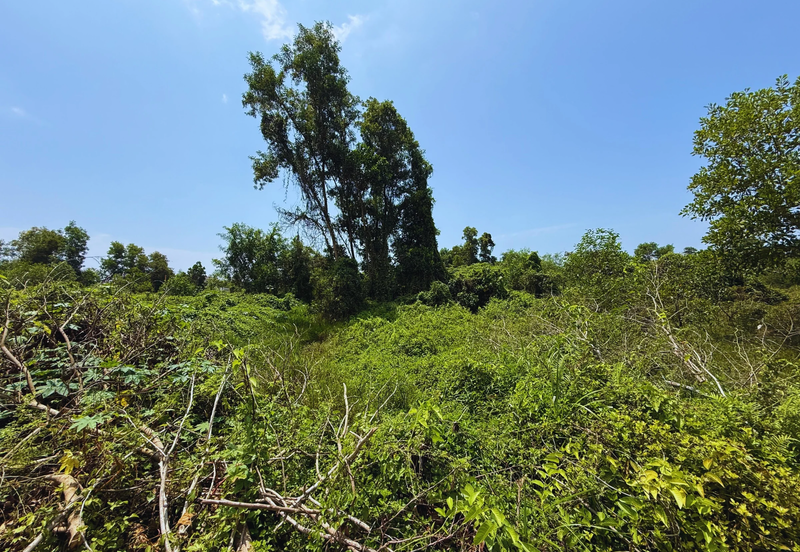 [Tanah Gred A]Tanah Lot Banglo Saiz 411m² di Kawasan Perindustrian Gong Badak, Kuala Nerus, Terengganu