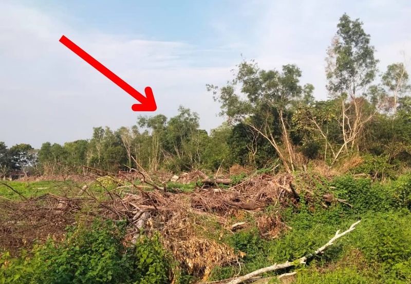 𝐓𝐚𝐧𝐚𝐡 𝐒𝐲𝐚𝐫𝐚𝐭 𝐁𝐚𝐧𝐠𝐮𝐧𝐚𝐧 𝟐.𝟓 𝐞𝐤𝐚𝐫 𝐝𝐢 𝐓𝐨𝐤 𝐉𝐞𝐦𝐛𝐚𝐥, 𝐊𝐮𝐚𝐥𝐚 𝐍𝐞𝐫𝐮𝐬, 𝐓𝐞𝐫𝐞𝐧𝐠𝐠𝐚𝐧𝐮