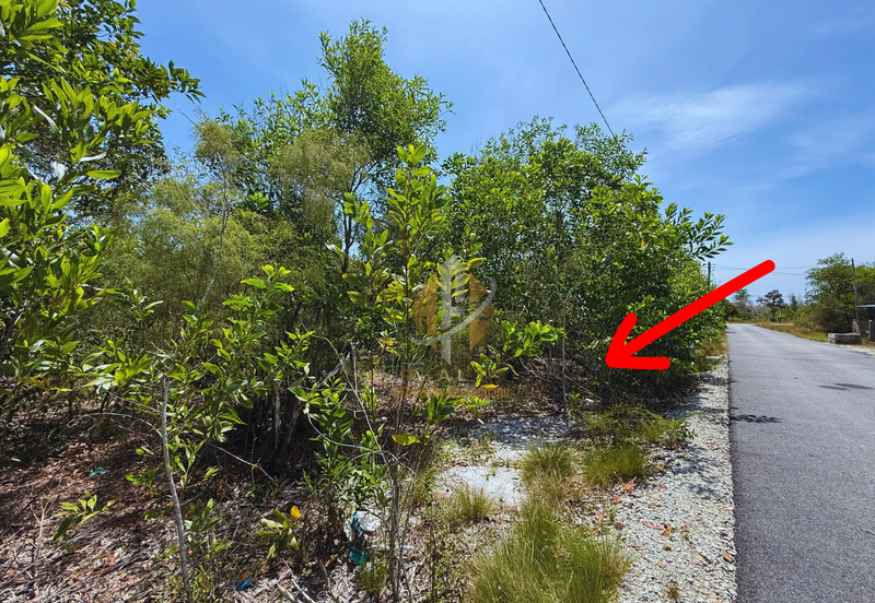 Tanah Lot Banglo Murah bersaiz 794m² di Merang, Setiu, Terengganu berdekatan Merang Jetty