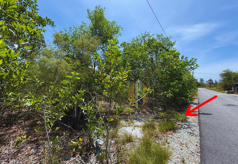 Tanah Lot Banglo Murah bersaiz 794m² di Merang, Setiu, Terengganu berdekatan Merang Jetty