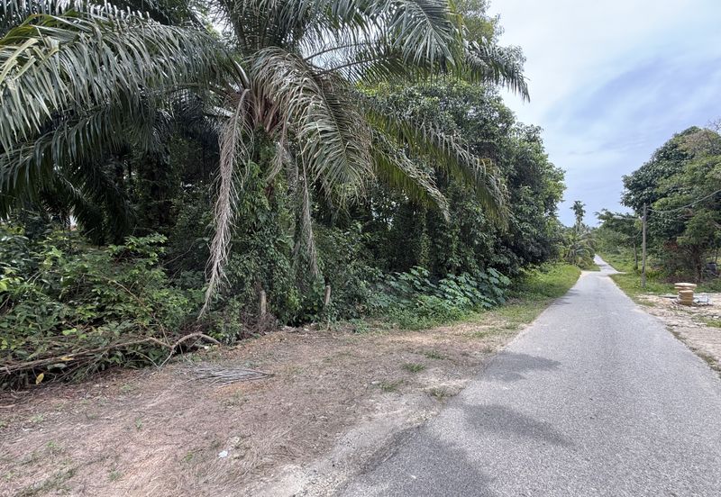Tanah tepi Jalan syarat Bangunan 1361m²  di Kg. Kelulut, Marang, Terengganu