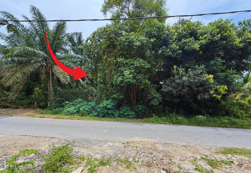 Tanah tepi Jalan syarat Bangunan 1361m²  di Kg. Kelulut, Marang, Terengganu