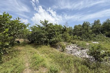 Tanah Lot Banglo bersaiz 441m²  di Kg. Alur Tuman, Marang, Terengganu sebelah Sekolah Memandu Arinah