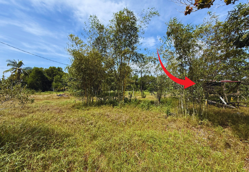 Tanah Lot Banglo bersaiz 441m²  di Kg. Alur Tuman, Marang, Terengganu sebelah Sekolah Memandu Arinah