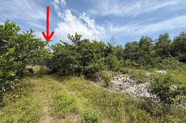 Tanah Lot Banglo bersaiz 441m²  di Kg. Alur Tuman, Marang, Terengganu sebelah Sekolah Memandu Arinah