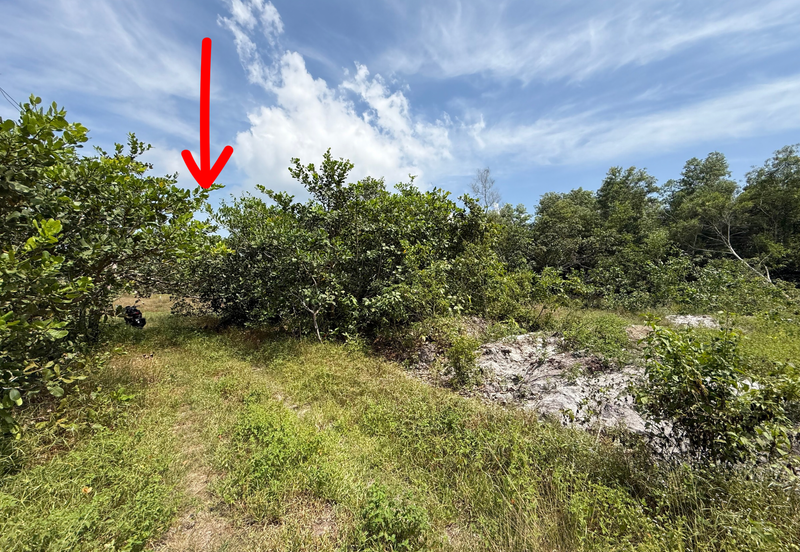 Tanah Lot Banglo bersaiz 441m²  di Kg. Alur Tuman, Marang, Terengganu sebelah Sekolah Memandu Arinah