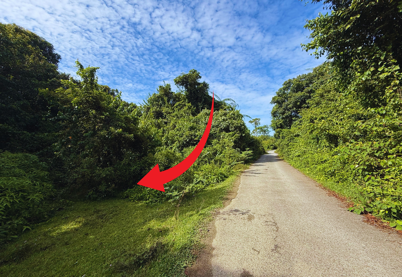 Tanah Pertanian 3.5 ekar tepi Jalan di Kuala Telemong, Hulu Terengganu, Terengganu