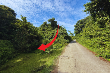 Tanah Pertanian 3.5 ekar tepi Jalan di Kuala Telemong, Hulu Terengganu, Terengganu