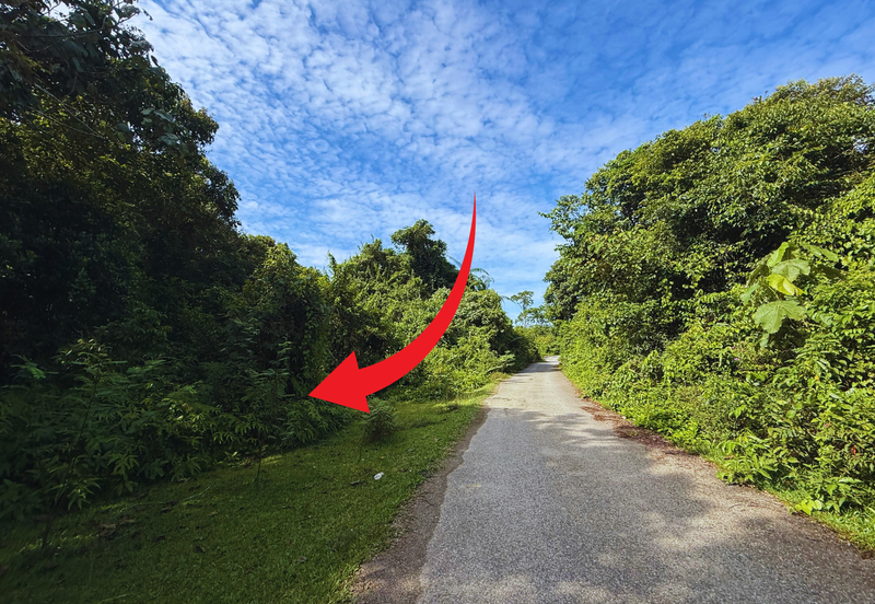 Tanah Pertanian 3.5 ekar tepi Jalan di Kuala Telemong, Hulu Terengganu, Terengganu