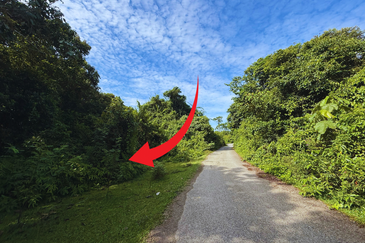 Tanah Pertanian 3.5 ekar tepi Jalan di Kuala Telemong, Hulu Terengganu, Terengganu