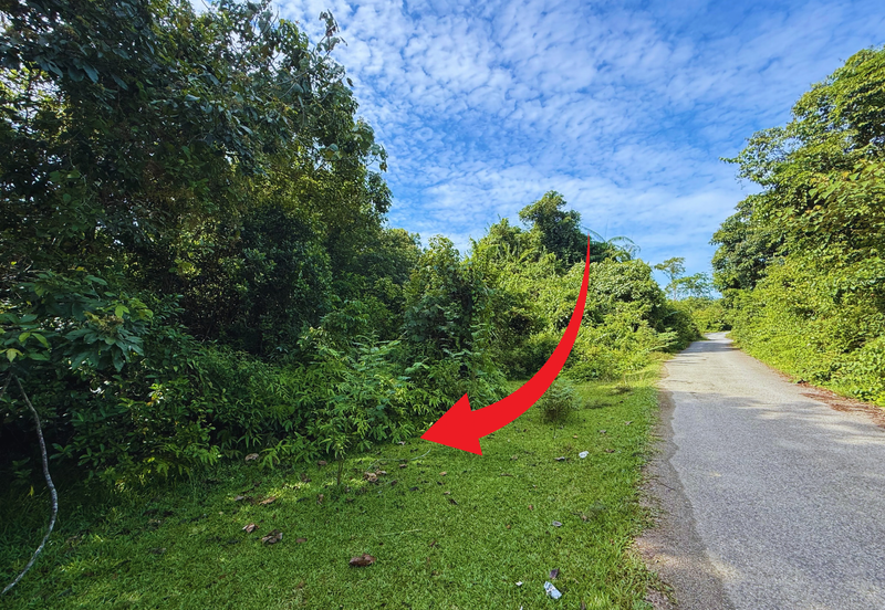 Tanah Pertanian 3.5 ekar tepi Jalan di Kuala Telemong, Hulu Terengganu, Terengganu