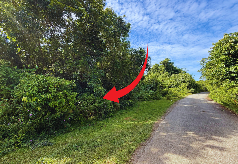 Tanah Pertanian 3.5 ekar tepi Jalan di Kuala Telemong, Hulu Terengganu, Terengganu