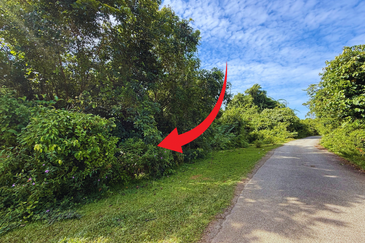 Tanah Pertanian 3.5 ekar tepi Jalan di Kuala Telemong, Hulu Terengganu, Terengganu