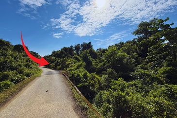 Tanah Pertanian 3.5 ekar tepi Jalan di Kuala Telemong, Hulu Terengganu, Terengganu