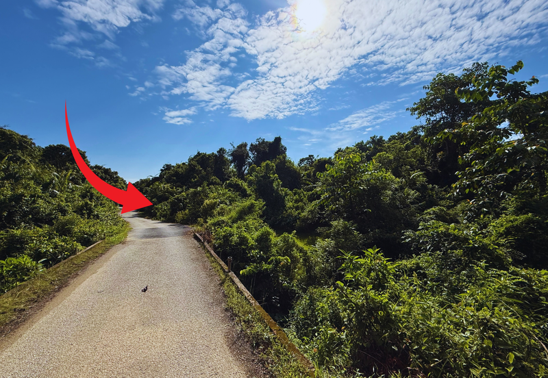 Tanah Pertanian 3.5 ekar tepi Jalan di Kuala Telemong, Hulu Terengganu, Terengganu