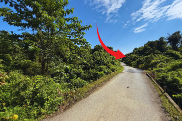 Tanah Pertanian 3.5 ekar tepi Jalan di Kuala Telemong, Hulu Terengganu, Terengganu