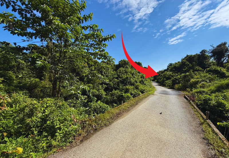 Tanah Pertanian 3.5 ekar tepi Jalan di Kuala Telemong, Hulu Terengganu, Terengganu