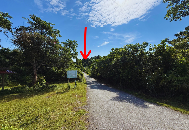 Tanah Pertanian 3.5 ekar tepi Jalan di Kuala Telemong, Hulu Terengganu, Terengganu