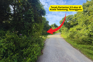 Tanah Pertanian 3.5 ekar tepi Jalan di Kuala Telemong, Hulu Terengganu, Terengganu