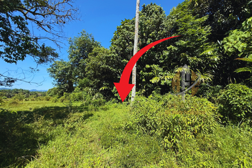 Tanah Tepi Jalan Utama syarat Bangunan 0.53 ekar  di Kg. Tengkawang, Hulu Terengganu