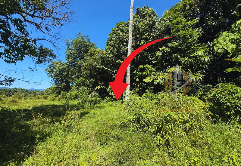 Tanah Tepi Jalan Utama syarat Bangunan 0.53 ekar  di Kg. Tengkawang, Hulu Terengganu