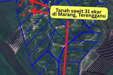 Tanah sawit 31 ekar di Marang, Terengganu