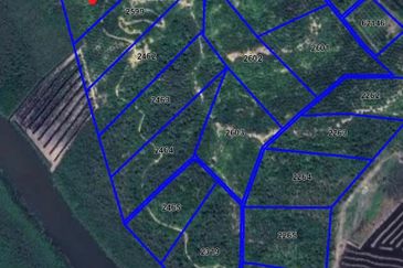 Tanah sawit 31 ekar di Marang, Terengganu