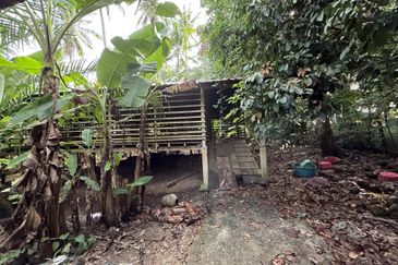 Tanah Kebun bersaiz 1.27 ekar di Kg. Jerung Seberang, Marang, Terengganu