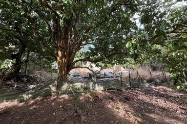 Tanah Kebun bersaiz 1.27 ekar di Kg. Jerung Seberang, Marang, Terengganu