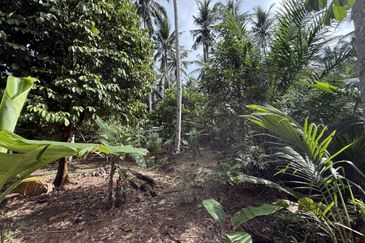 Tanah Kebun bersaiz 1.27 ekar di Kg. Jerung Seberang, Marang, Terengganu