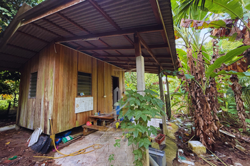 Tanah Kebun bersaiz 1.27 ekar di Kg. Jerung Seberang, Marang, Terengganu