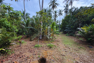 Tanah Kebun bersaiz 1.27 ekar di Kg. Jerung Seberang, Marang, Terengganu