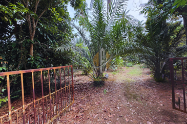 Tanah Kebun bersaiz 1.27 ekar di Kg. Jerung Seberang, Marang, Terengganu