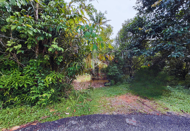 Tanah Kebun bersaiz 1.27 ekar di Kg. Jerung Seberang, Marang, Terengganu