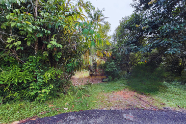 Tanah Kebun bersaiz 1.27 ekar di Kg. Jerung Seberang, Marang, Terengganu